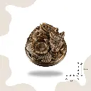 visuel dnd.webp